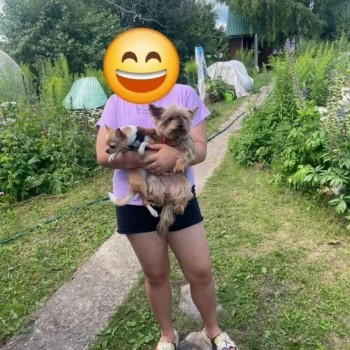 Продается Дом, 20 м²