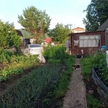 Продается Дом, 20 м²