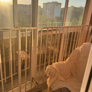 Сдается 1-комнатная квартира, 21 м²