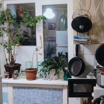 Сдается Комната, 43,8 м²