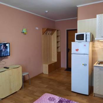 Сдается 1-комнатная квартира, 19 м²