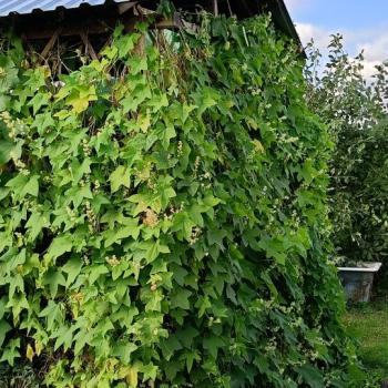 Продается Дом, 63,3 м²