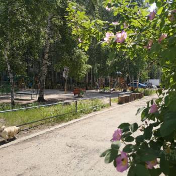 Продается 1-комнатная квартира, 31 м²