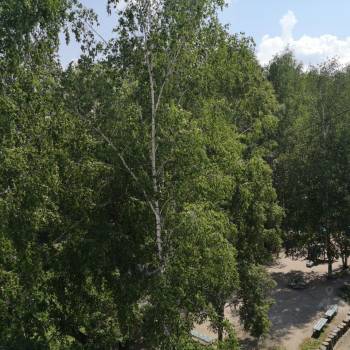 Продается 1-комнатная квартира, 31 м²