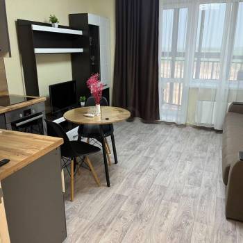 Сдается 1-комнатная квартира, 24 м²