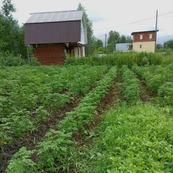 Продается Участок, 700 м²