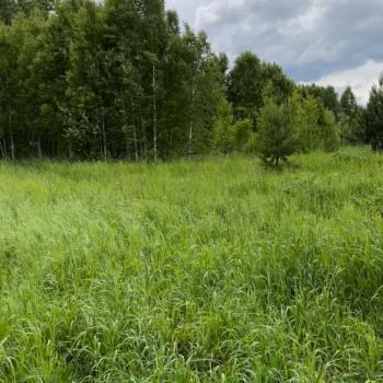 Продается Участок, 1500 м²