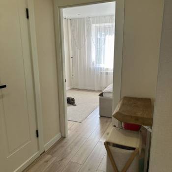 Сдается Многокомнатная квартира, 65 м²