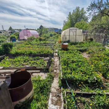 Продается Участок, 330 м²