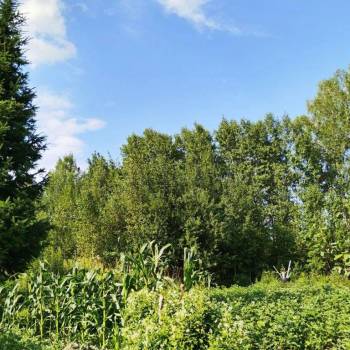 Продается Участок, 1500 м²