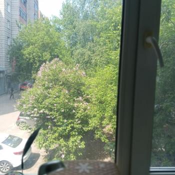 Сдается 2-х комнатная квартира, 42 м²