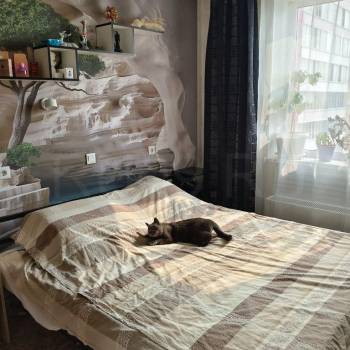 Сдается 2-х комнатная квартира, 60 м²