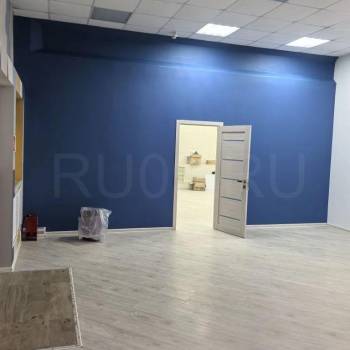 Сдается Нежилое помещение, 274 м²