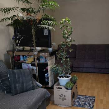 Продается 1-комнатная квартира, 37,1 м²