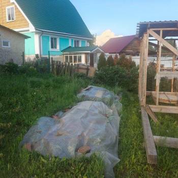Продается Дом, 10 м²
