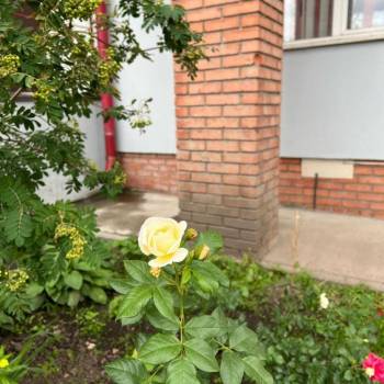 Продается 2-х комнатная квартира, 55 м²