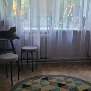 Продается 1-комнатная квартира, 17,6 м²