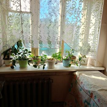 Сдается Комната, 11 м²