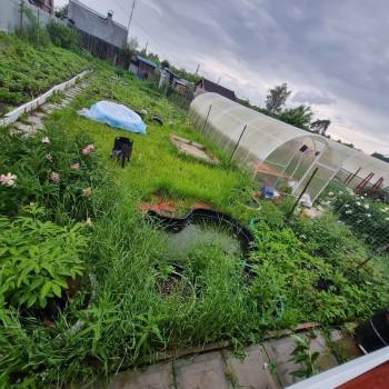 Продается Участок, 300 м²