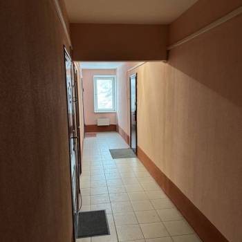 Продается 1-комнатная квартира, 25,5 м²