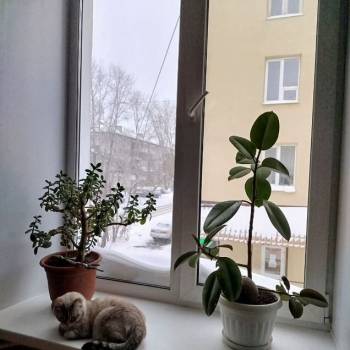 Сдается Комната, 14 м²