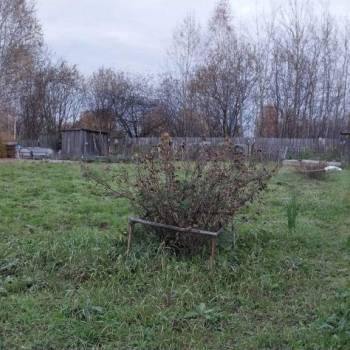 Продается Участок, 600 м²