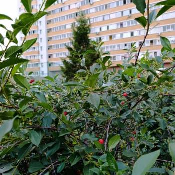 Продается 2-х комнатная квартира, 61 м²