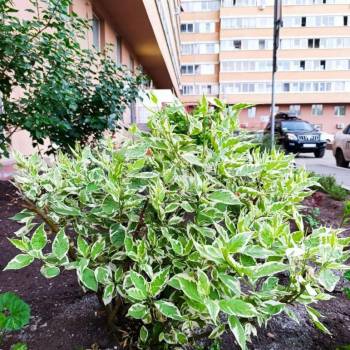 Продается 2-х комнатная квартира, 61 м²