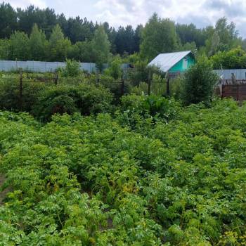 Продается Дом, 18 м²