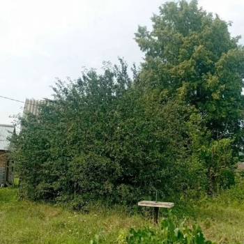 Продается Дом, 20 м²