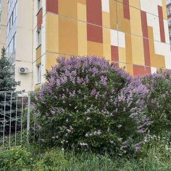 Продается 2-х комнатная квартира, 62,4 м²