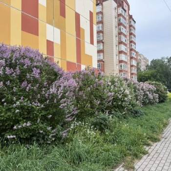 Продается 2-х комнатная квартира, 62,4 м²