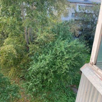 Сдается 2-х комнатная квартира, 42 м²