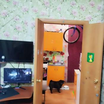 Продается 1-комнатная квартира, 31,1 м²
