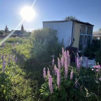 Продается Участок, 600 м²