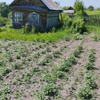 Продается Участок, 590 м²