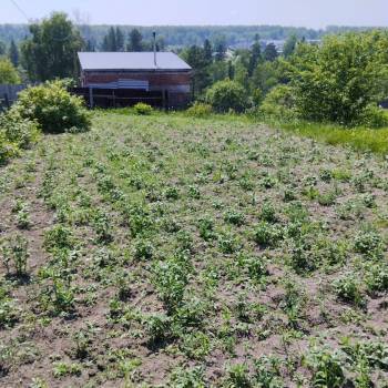 Продается Участок, 590 м²
