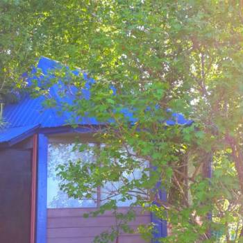 Продается Участок, 490 м²