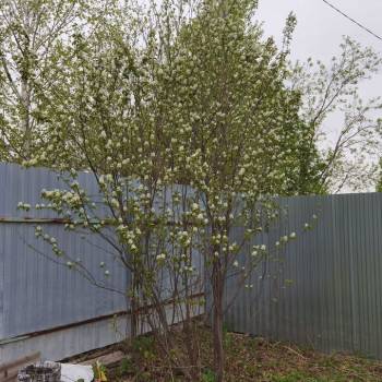 Продается Участок, 930 м²