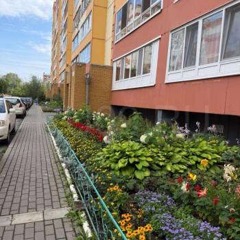 Сдается 2-х комнатная квартира, 39 м²
