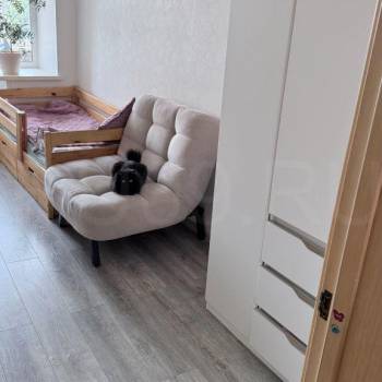 Сдается Многокомнатная квартира, 57 м²