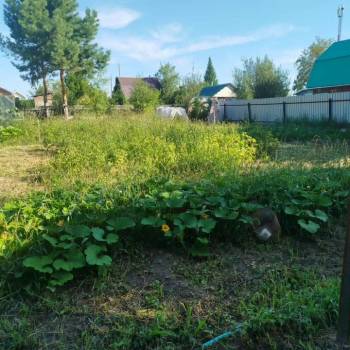 Продается Участок, 800 м²