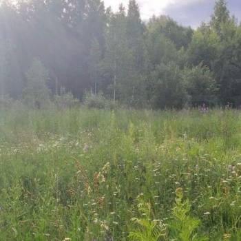 Продается Участок, 1200 м²