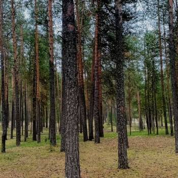 Продается Участок, 800 м²