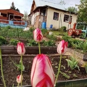 Продается Дом, 30 м²