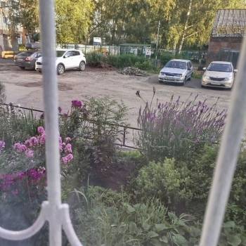 Сдается 1-комнатная квартира, 30 м²