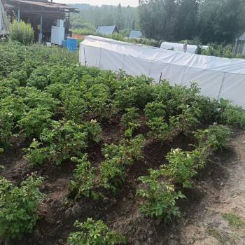 Продается Дом, 10 м²