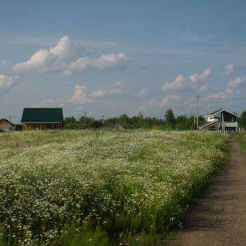 Продается Участок, 1100 м²