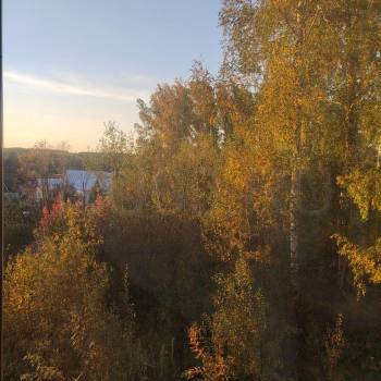 Сдается 1-комнатная квартира, 21 м²