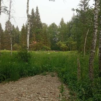 Продается Участок, 1200 м²